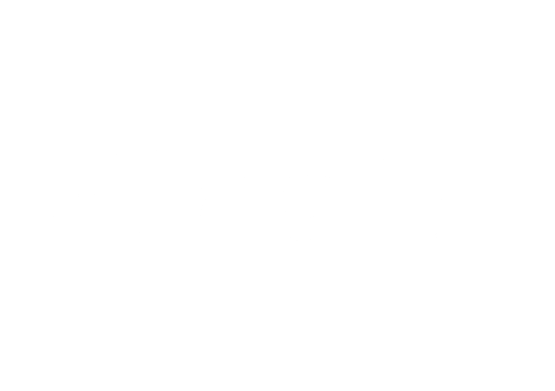 Pinatz_Logo_weiß